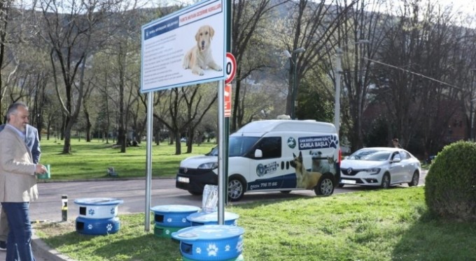 Eski lastikler kedilere ev oldu