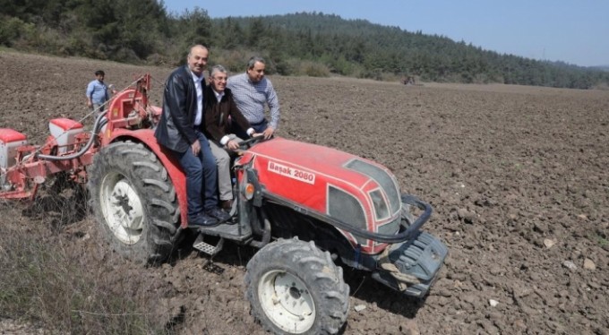 Mudanya Belediyesi ayçiçek tohumlarını toprakla buluşturdu