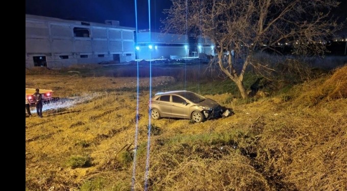 Köpeğe çarpan otomobil şarampole uçtu