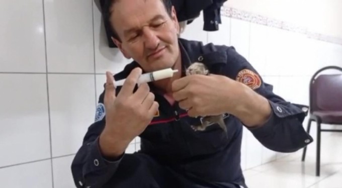 Bursa'da kurtardıkları 3 yavru kediyi elleriyle besledi