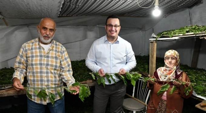 Bursa ipeği Mustafakemalpaşa'da kozalarından doğuyor