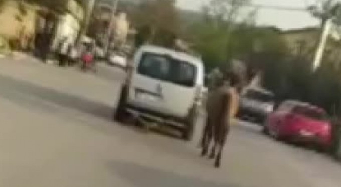Atını araca bağlayarak kilometrelerce koşturdu