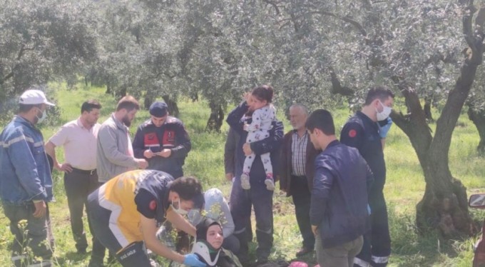 Otomobil zeytinliğe daldı: 2'si çocuk 4 yaralı