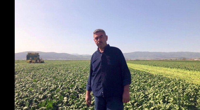 Avrupa'nın ıspanağı Bursa'dan gidiyor