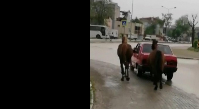 Bursa'da tepki çeken görüntü