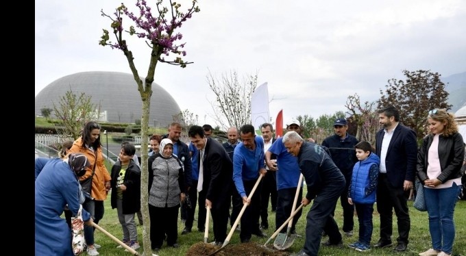 Osmangazi'de erguvan vakti