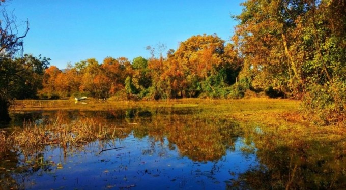 Karacabey Longozu'nun büyüleyen doğası