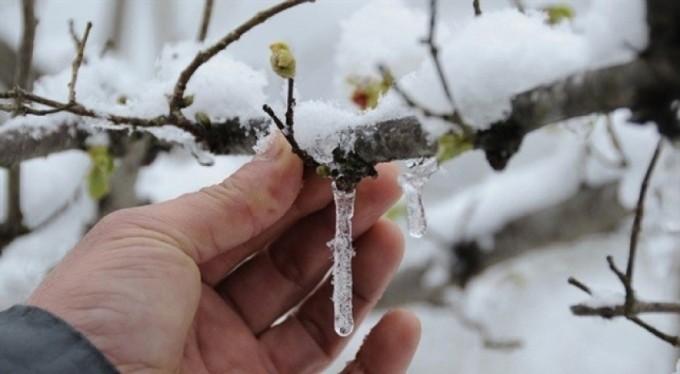 Meteorolojiden zirai don ve kırağı uyarısı