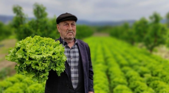 Marul tarlada 2 lira tezgahta 10 lira