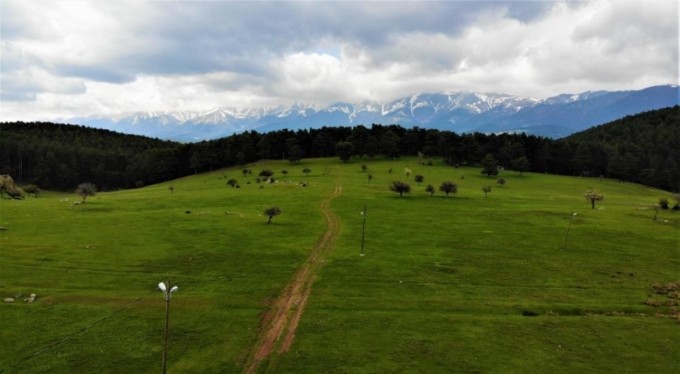 Bahar geldi, o yayla muhteşem görüntüye kavuştu