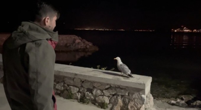 Martıyı böyle hayata döndürdüler