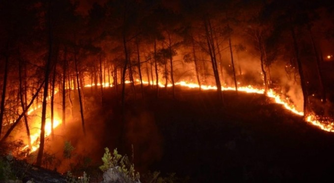 Bursa'da ormanlık alanlarda mangal yakmak yasaklandı