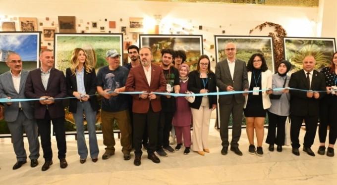 Nesli tehlikede olan pinalar Gemlik Körfezi'nde görüldü