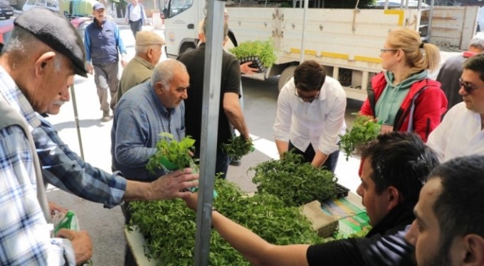 Gemlik'te ücretsiz fide dağıtımı başladı