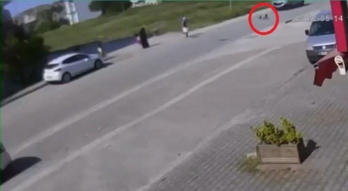 Köpekten kaçarken az daha canından oluyordu