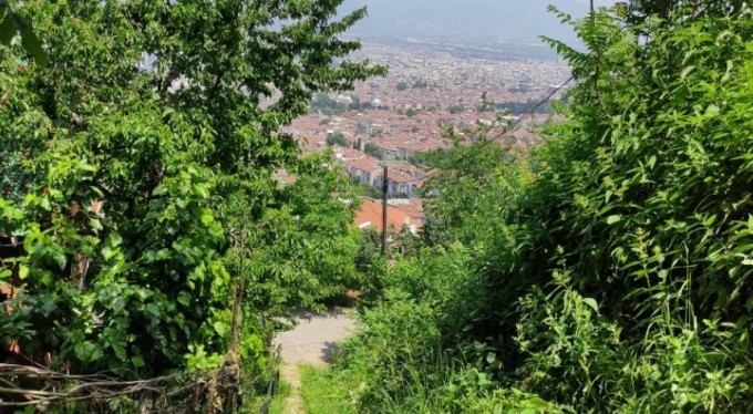 Ayılarla arkadaş oldu her gün ziyaretine geliyorlar