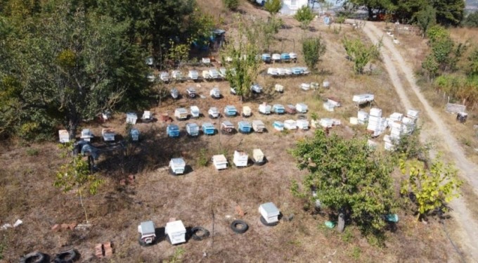 Türkiye'nin ilk 'Arı Borsası'