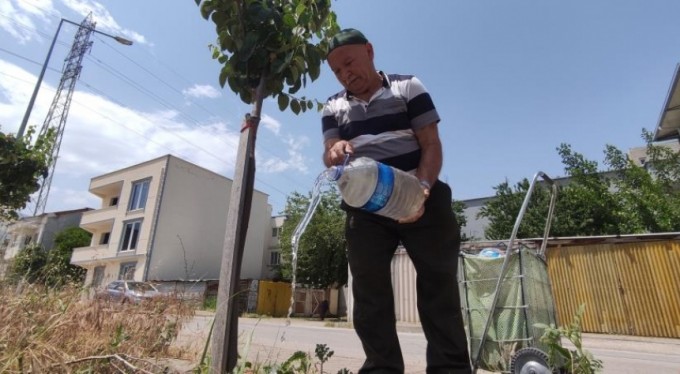 Sokak sokak gezip her yere meyve fidanı dikiyor