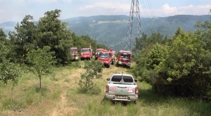 Bursa'da orman yangını