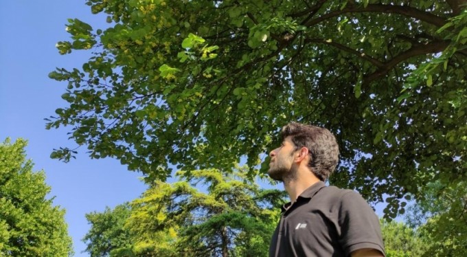 Kilosu yüzlerce lira...Her cadde ve parkta var, kimse toplamıyor