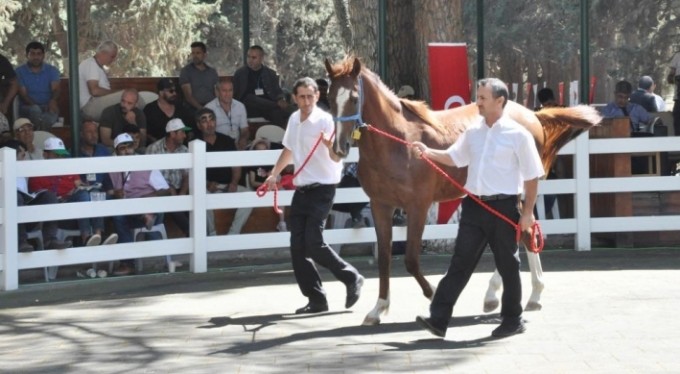 Bu taylar milyonlara bedel