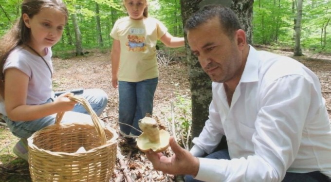 Mustafakemalpaşa'da ayı ve sarıkız mantar sezonu başladı