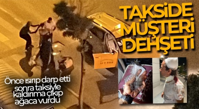 Önce ısırıp darp etti, sonra taksiyle kaldırıma çıkıp ağaca vurdu