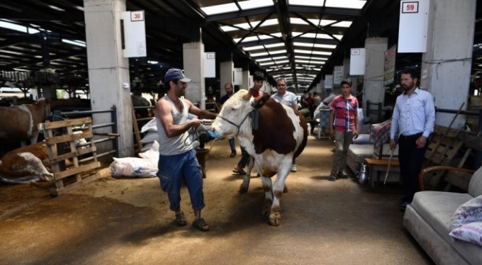 Kurbanlıklar bu 'TİM'den kaçamayacak