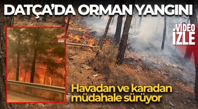 Datça'da orman yangını