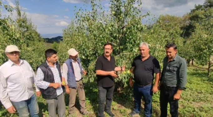 Çiftçiyi dolu vurdu, 20 milyon TL zarar