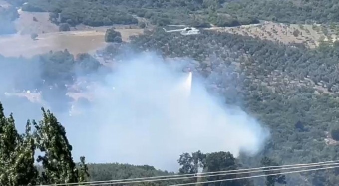 Bursa'da orman yangını