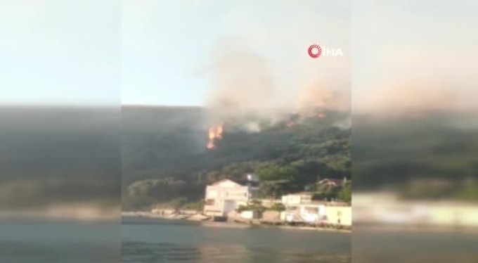 Bursa'da ormanlık alanda yangın