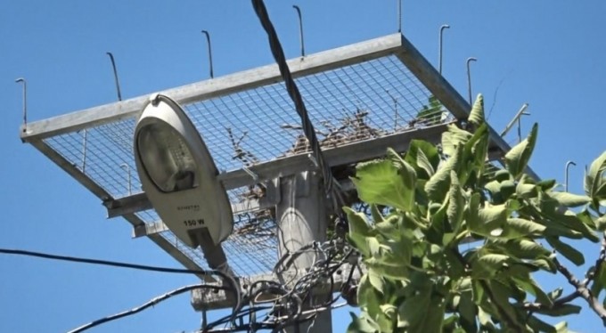 Leyleğin yardımına ekipler yetişti