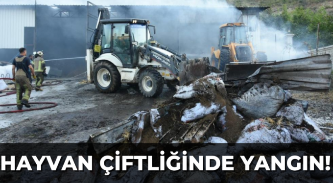 Hayvan çiftliğinde yangın çıktı, 60 hayvan telef oldu