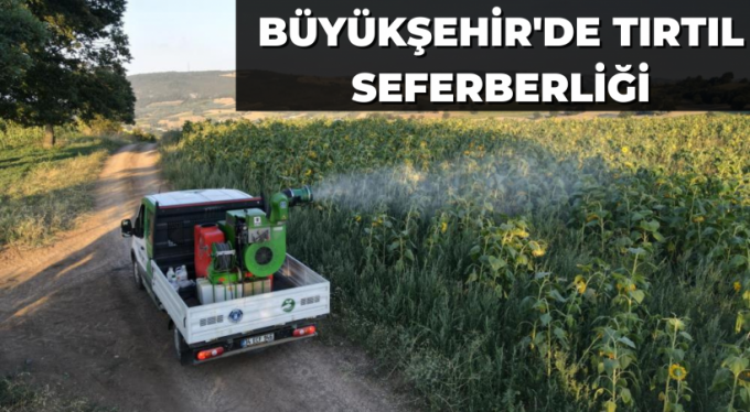 Büyükşehir'de 'tırtıl' seferberliği