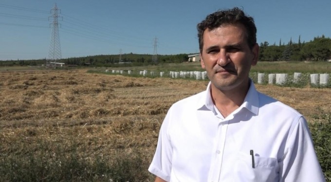 Üniversitenin arazisine buğday ektiler, 400 ton hasat yaptılar