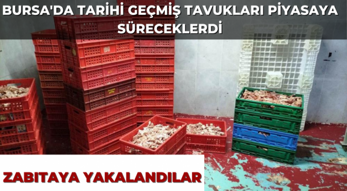 Bursa'da tarihi geçmiş tavukları piyasa süreceklerdi, zabıtaya yakalandılar