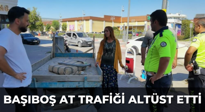 Başıboş at trafiği altüst etti