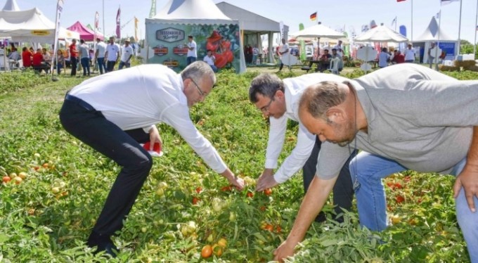 Salçalık domateste marka olan Karacabey'de domates fuarı