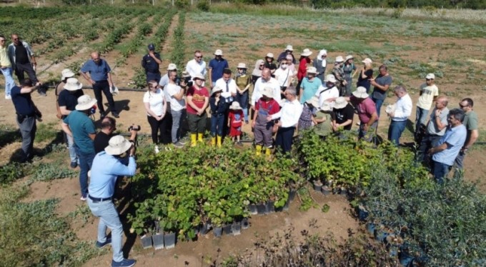 Engelsiz tarımda hasat zamanı