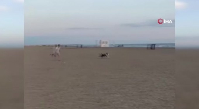 Ayakkabısını köpeğe kaptırdı, metrelerce peşinden koştu