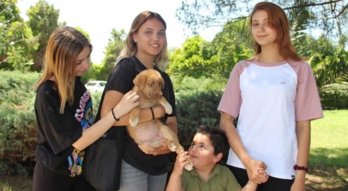 Can dostlar sahiplerini bekliyorlar