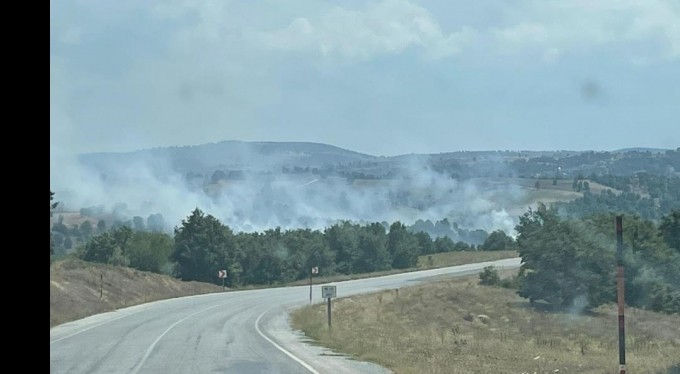Bursa'da orman yangını kontrol altına alındı