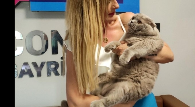 Obez kedi tam 8,5 kilo ağırlığında