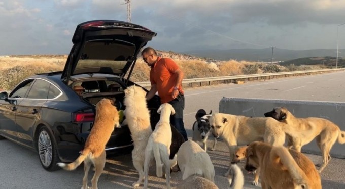 Bu köpekler çok şanslı...Milyonluk arabaya binip ciğer yiyorlar