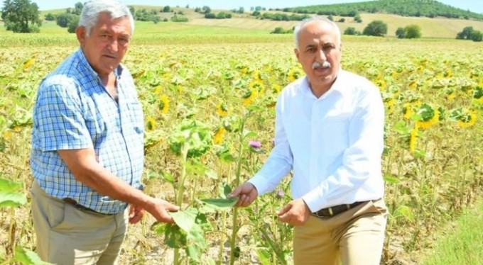 Çiftçiye sıfır faizli kredi üreticilere nefes aldıracak