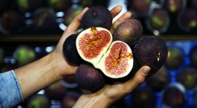 Bursa'nın dünyaca ünlü Kraliçe İnciri'nde aracı oyunu! Üreticide kilosu 10 lira, Avrupa'da tanesi 1 sterlin