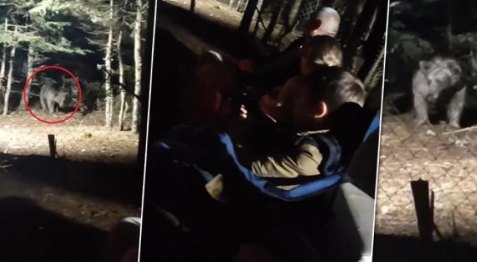 Uludağ'a tatile giden aile ayıyla karşı karşıya geldi! O anlar anbean kaydedildi