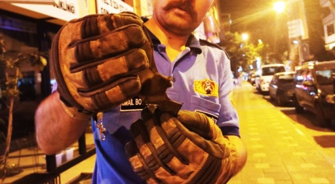 Bursa'da eve giren yarasayı itfaiye çıkardı