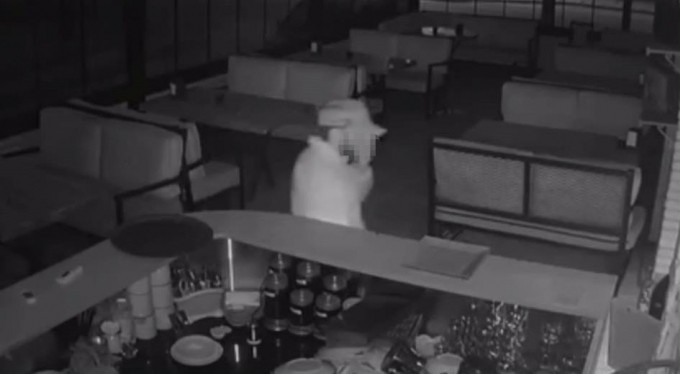 Bursa'da hırsız, kamerayı görünce elleriyle yüzünü kapattı